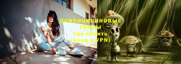 прущие крисы Елабуга