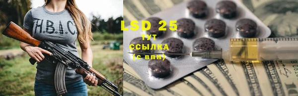 прущие крисы Елабуга