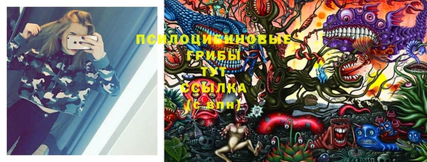 дурь Ельня