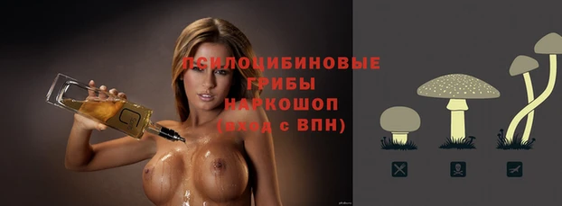 прущие крисы Елабуга
