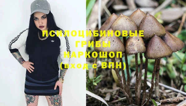 альфа пвп Елизово