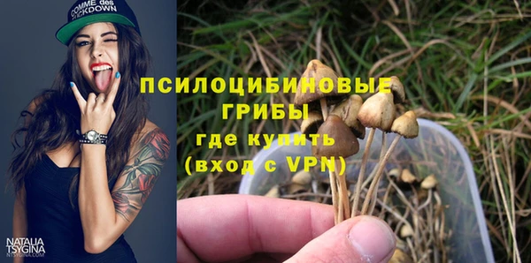 дурь Ельня