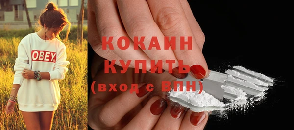 дурь Ельня